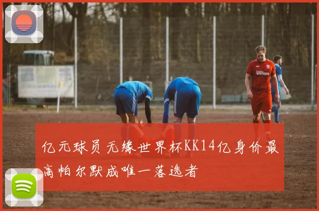亿元球员无缘世界杯KK14亿身价最高帕尔默成唯一落选者